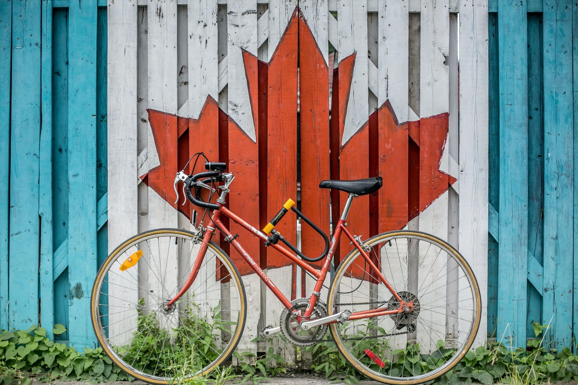 Bicycle against a wall painted with the Canada flag, representing immigration to Canada