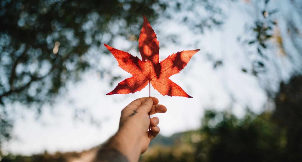 canada