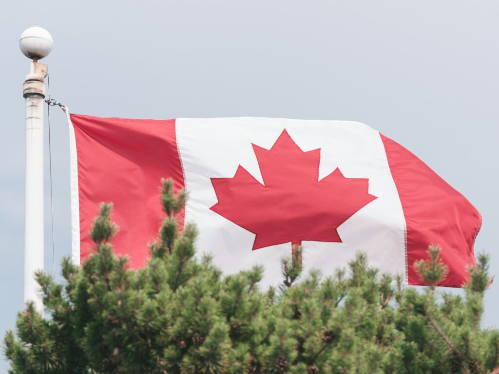 A large Canadian flag, billowing in the wind, rises over the tops of a row of fir trees, representing the Immigration Levels Plan.